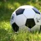 Ein Fußball in der Wiese. Foto: Pixabay.