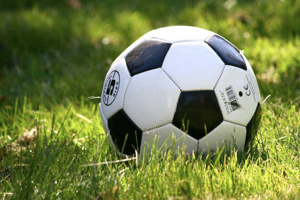 Ein Fußball in der Wiese. Foto: Pixabay.