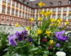 Bepflanzung der Stadt Bayreuth