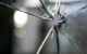 Die Einbrecher haben eine Glasscheibe im Eingangsbereich des Bayreuther Supermarkts zerstört. Symbolfoto: Pixabay