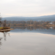 Der See in Weißenstadt. Jetzt hat das Landratsamt Wunsiedel eine Badewarnung wegen Blaualgen ausgesprochen. Foto: Pixabay