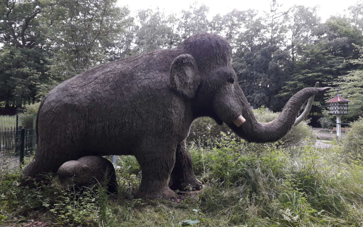 Das Mammut am Bayreuther Röhrensee wurde demoliert. Foto: privat