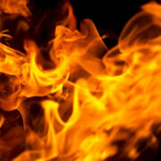 Feuer in Goldkronach ausgebrochen. 80 Kaninchen sind bei dem Brand gestorben. Symbolbild: pixabay