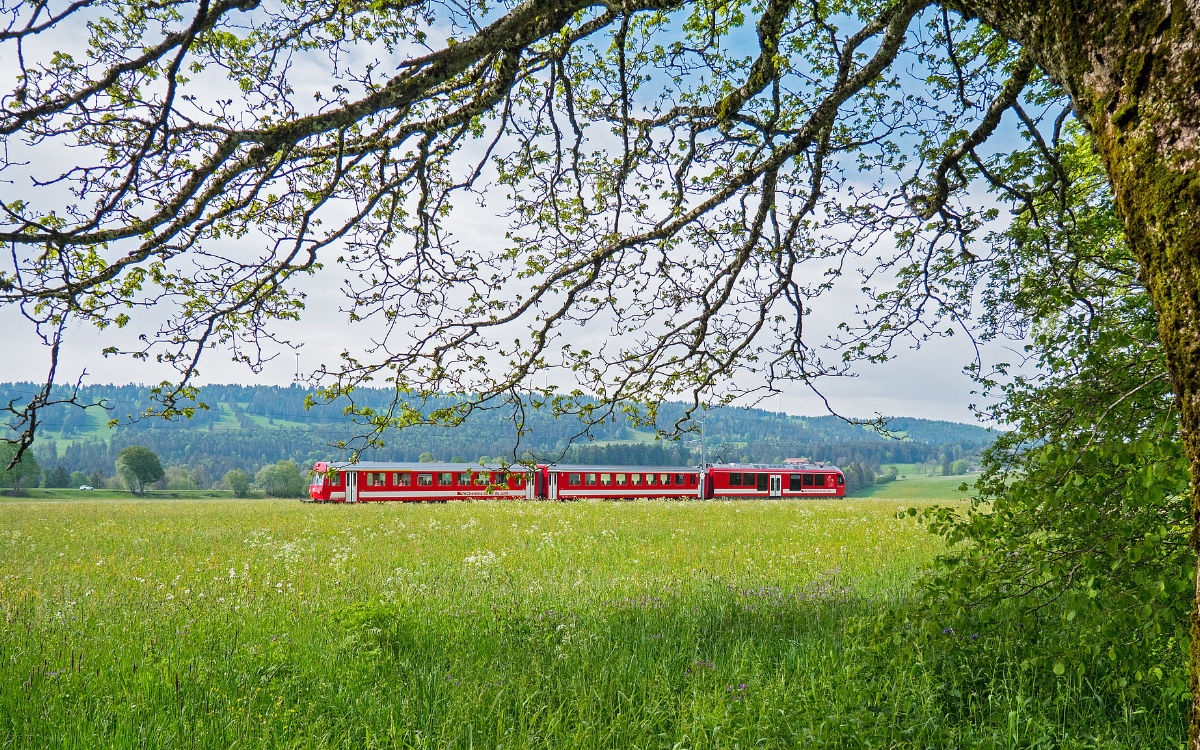 Der Kreistag hat sich mit der Frage beschäftigt, wie sich der Bahnverkehr im Landkreis Bayreuth entwickeln soll. Symbolfoto: pixabay