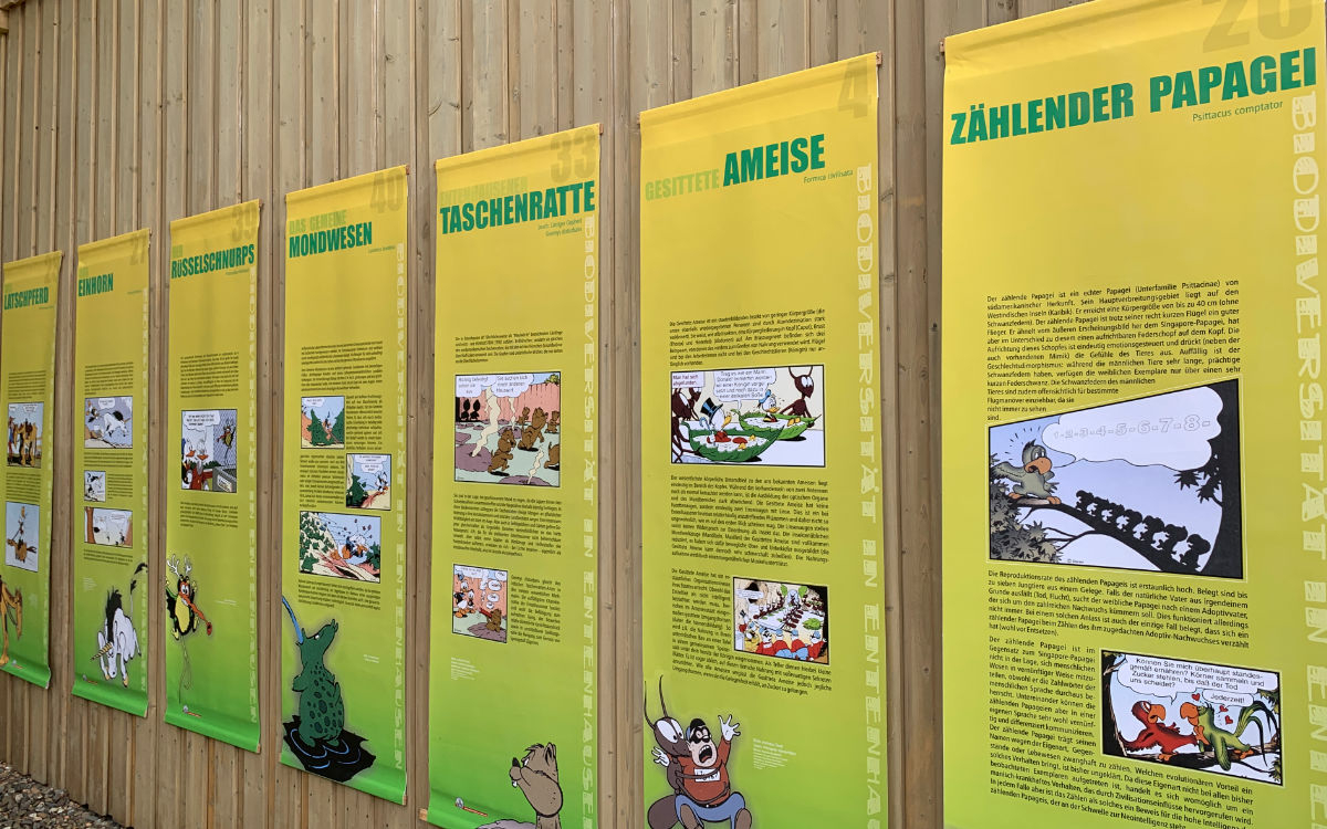 Die Ausstellung über Biodiversität in Entenhausen auf dem Kraut & Rüben Festival in Bayreuth. Foto: Katharina Adler