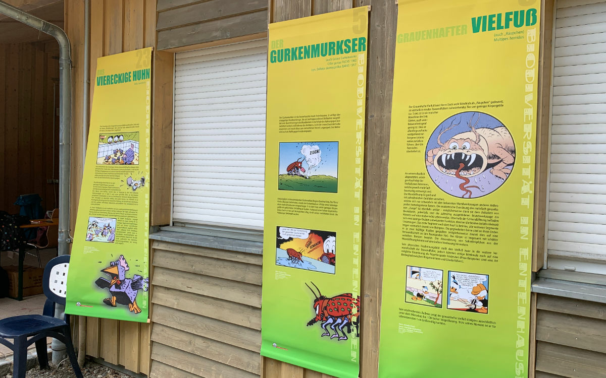 Die Ausstellung über Biodiversität in Entenhausen auf dem Kraut & Rüben Festival in Bayreuth. Foto: Katharina Adler