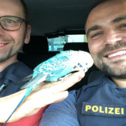 In Gattendorf im Kreis Hof haben Polizisten einen Wellensittich gefunden. Foto: Grenzpolizei Selb