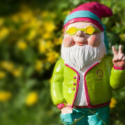 In Bayreuth hat ein Mann Pflanzen und Dekorationen aus Gärten gestohlen. Symbolbild: pixabay