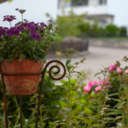 Gartenarbeiten in Bayreuth: Darauf muss geachtet werden. Symbolfoto: pixabay