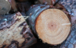 Gestapeltes Holz. Foto: Pixabay
