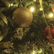 Unbekannte Diebe stahlen in Mittelfranken etwa 30 Weihnachtsbäume. Symbolfoto: Pixabay