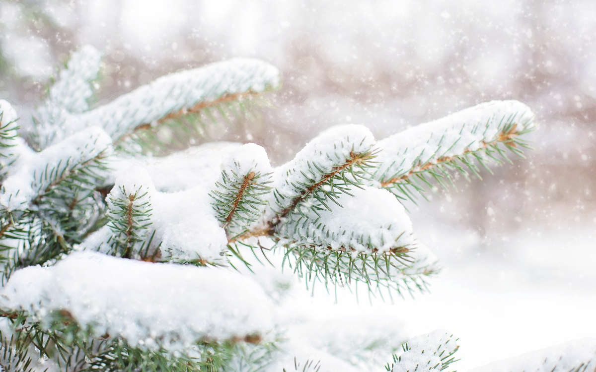 In Bayreuth soll es am heutigen Samstag wieder schneien. Symbolfoto: Pixabay