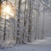 Am Wochenende wird es vor allem eins: richtig kalt. Dennoch lohnt sich ein Winterausflug. Symbolfoto: Pixabay
