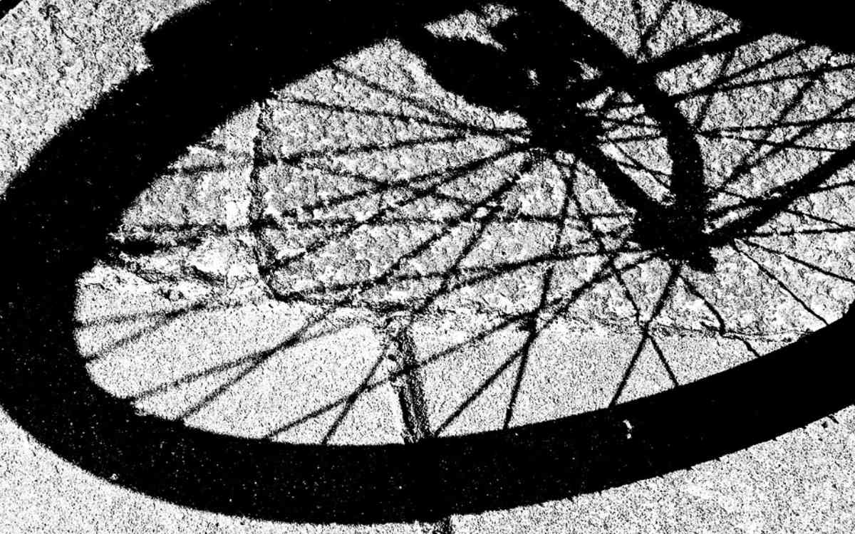 In Oberfranken ist ein Baum auf einen Fahrradfahrer gefallen. Symbolbild: Pixabay