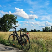 Am 2. April 2023 findet in Bayreuth eine Fahrradversteigerung statt. Symbolbild: pixabay
