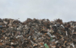 Der in der Corona-Pandemie anfallende Müll in der Region Bayreuth ist seit März 2020 deutlich mehr geworden. Das ist der Grund.  Symbolfoto: pixabay