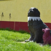 Das Tierheim in Bayreuth: Diese Hunde brauchen dringend ein liebe- und verständnisvolles neues Zuhause. Foto Raphael Weiß