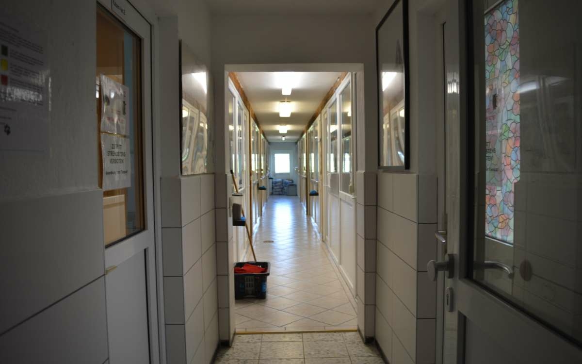 Das Tierheim in Bayreuth in der Corona-Pandemie: Das ist die aktuelle Lage. Foto Raphael Weiß