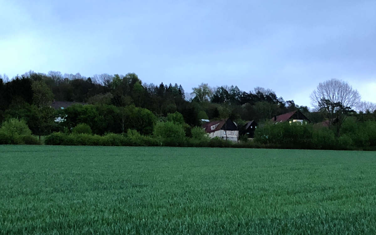 Weiterhin grüne Wiese statt Photovoltaik: Der Blick auf den Bindlacher Ortsteil Röhrig von der Autobahnunterquerung bei Eckershof. Bild: Jürgen Lenkeit