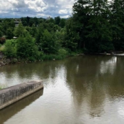 Hochwasser in Bayreuth: Zahlreiche Gewässer wie der Rote Main in der Wilhelminenaue könnten für Überschwemmungen sorgen. Bild: Jürgen Lenkeit