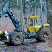 Ein 73-jähriger Waldarbeiter wurde bei Wartenfels (Kreis Kulmbach) lebensgefährlich verletzt. Symbolbild: Pixabay