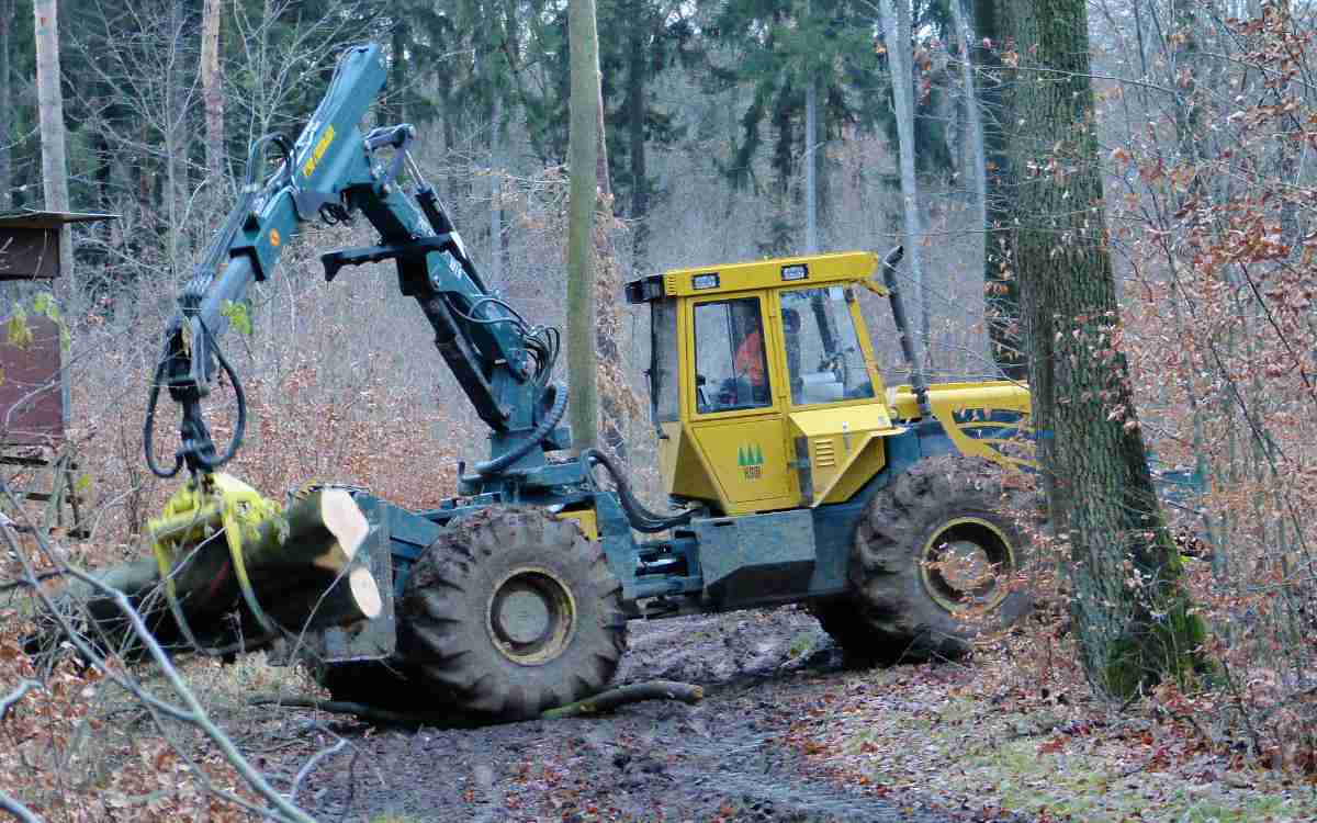 Ein 73-jähriger Waldarbeiter wurde bei Wartenfels (Kreis Kulmbach) lebensgefährlich verletzt. Symbolbild: Pixabay