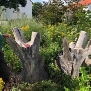 Projektmitarbeiterin Franzi Wagner bei den Natternkopf-Mauerbienen im Hortus Hammerstatt - einem Projekt der Summer in Bayreuth. Bild: Michael Kind