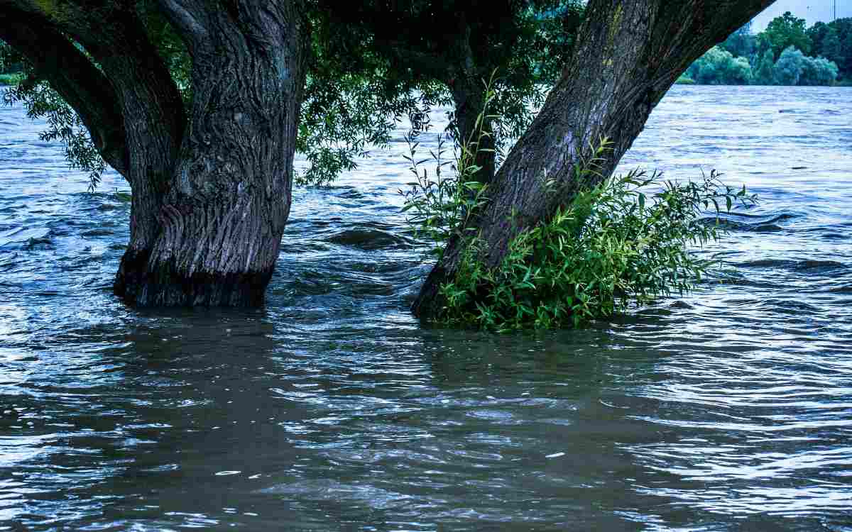 Wetterexperte Ochs warnt in der Region vor Hochwasser und starken Sturmböen. Symbolbild: Pixabay