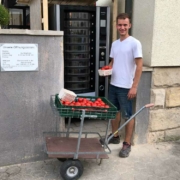 Gärtnereimeister Florian Schmidt beim Auffüllen des Gemüseautomaten in der Eckenerstraße am 12. August 2021. Bild: Michael Kind