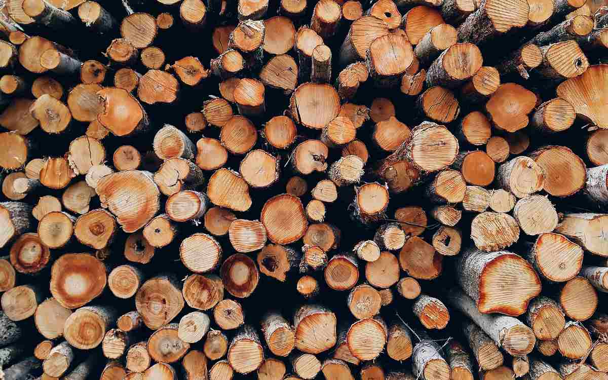 Folge des Notfallplans Gas: Stadt erlässt Allgemeinverfügung zur Wiederinbetriebnahme älterer Holzfeuerungsanlagen Symbolbild: Pixabay
