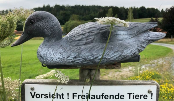 Der Geflügelzuchtverein Gefrees im Landkreis Bayreuth lädt ein zur Picknickwiese. Bild: Michael Kind