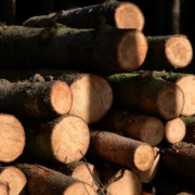 Die Brennholzpreise sinken in Bayreuth und Oberfranken. Symbolbild: pixabay