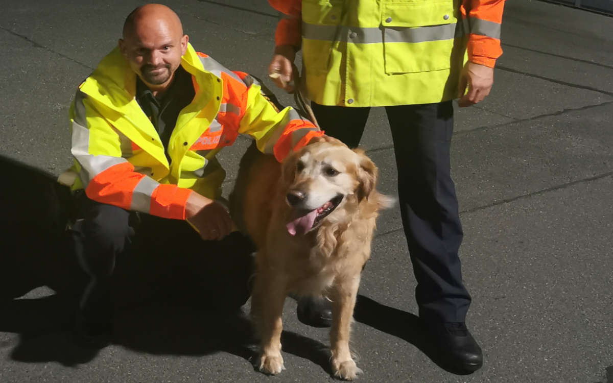 Auf der A9 bei Plech haben Bayreuther Polizisten einen Hund gefunden. Foto: Polizei