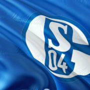 Ein Dieb hat gleich zwei Mal Schalke04-Fanartikel aus einem Garten in Melkendorf gestohlen. Symbolbild: pixabay