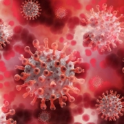 Virologe Klaus Stöhr sieht in den Infektionen die schnellste Möglichkeit, die Pandemie zu beenden. Symbolbild: Pixabay