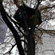 Klimaaktivisten protestierten seit dem 24. November 2021 auf einem Baum am Luitpoldplatz in Bayreuth für besseren Klimaschutz. Doch nun ist Schluss. Bild: Jürgen Lenkeit
