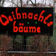 Weihnachtsbäume in Bayreuth: Hier kann man sie im Dezember 2021 kaufen. Bild: Jürgen Lenkeit