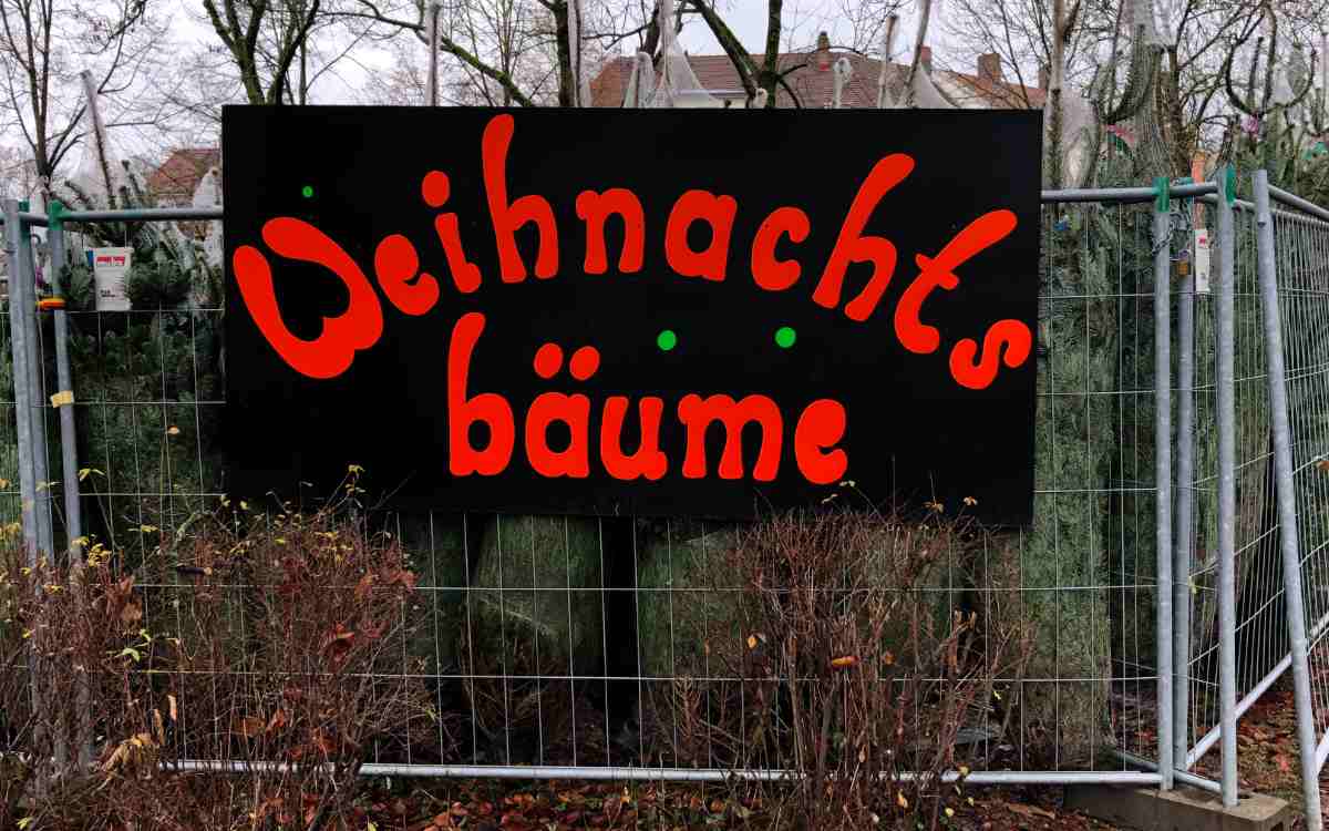 Weihnachtsbäume in Bayreuth: Hier kann man sie im Dezember 2021 kaufen. Bild: Jürgen Lenkeit