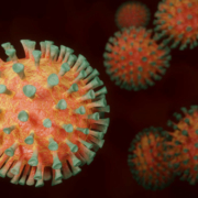 Gesundheitsminister Karl Lauterbach ist besorgt über die neue Virus-Variante. Symbolfoto: pixabay