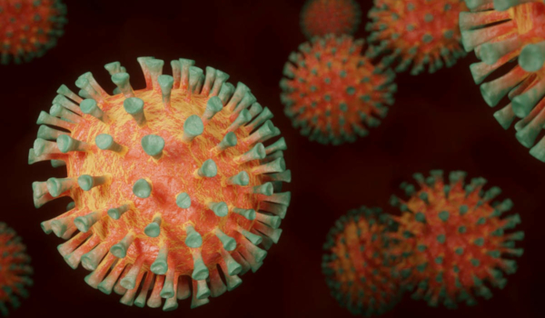 Gesundheitsminister Karl Lauterbach ist besorgt über die neue Virus-Variante. Symbolfoto: pixabay