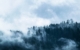 In den kommenden Tagen gilt Vorsicht vor Nebel in Franken. Symbolbild: pixabay