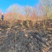 In Bindlach im Landkreis Bayreuth gab es am Montagnachmittag einen großen Flächenbrand. Bild: Feuerwehr Bindlach
