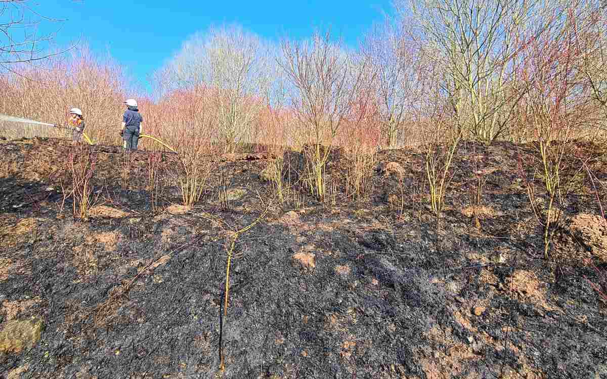 In Bindlach im Landkreis Bayreuth gab es am Montagnachmittag einen großen Flächenbrand. Bild: Feuerwehr Bindlach