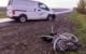 Bei einem Unfall im Landkreis Schweinfurt am 30. April 2022 ist ein Fahrradfahrer tödlich verunglückt. Bild: News5/Merzbach