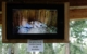 Wildpark Mehlmeisel: Luchsdame Diana brachte am Muttertag 2022 zwei Jungtiere zur Welt: Bild: Wildpark Waldhaus Mehlmeisel
