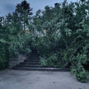 Im Schlosspark Fantaisie in Eckersdorf im Landkreis Bayreuth wüteten die Stürme gehörig. Bild: privat