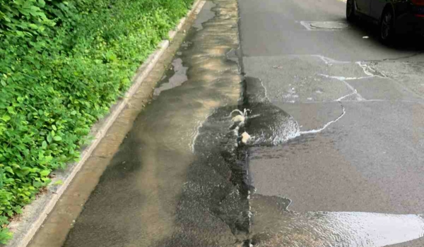Wasserrohrbruch in Bayreuth: In der Parsifalstraße sprudelt am Donnerstagmorgen (9. Juni 2022) Wasser aus der Straße. Bild: privat