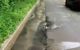 Wasserrohrbruch in Bayreuth: In der Parsifalstraße sprudelt am Donnerstagmorgen (9. Juni 2022) Wasser aus der Straße. Bild: privat