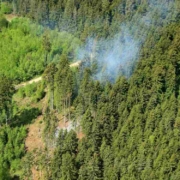 Wegen erhöhter Waldbrandgefahr in Oberfranken kontrollieren ab 19. Juli 2022 mehrere Hubschrauber die Wälder vom Himmel aus. Bild: Peter Stollberg, Regierung von Oberfranken
