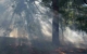 Nach Angaben der Universität Bayreuth könnte künstliche Intelligenz helfen, Waldbrände zu verhindern und zu bekämpfen. Symbolbild: Pixabay